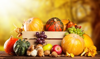 Dietetyczne dary jesieni, w których powinieneś się zakochać